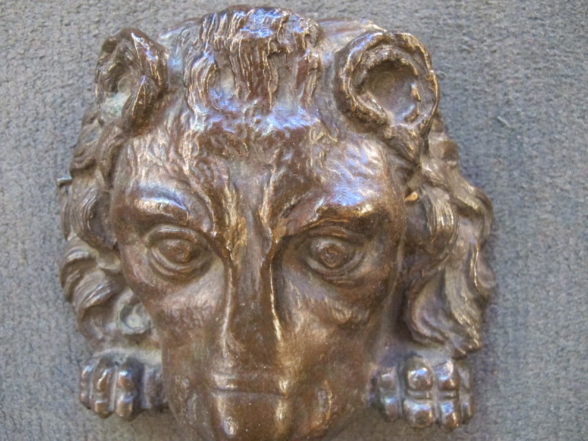 Mufle de lion en bronze  XIX -photo-3