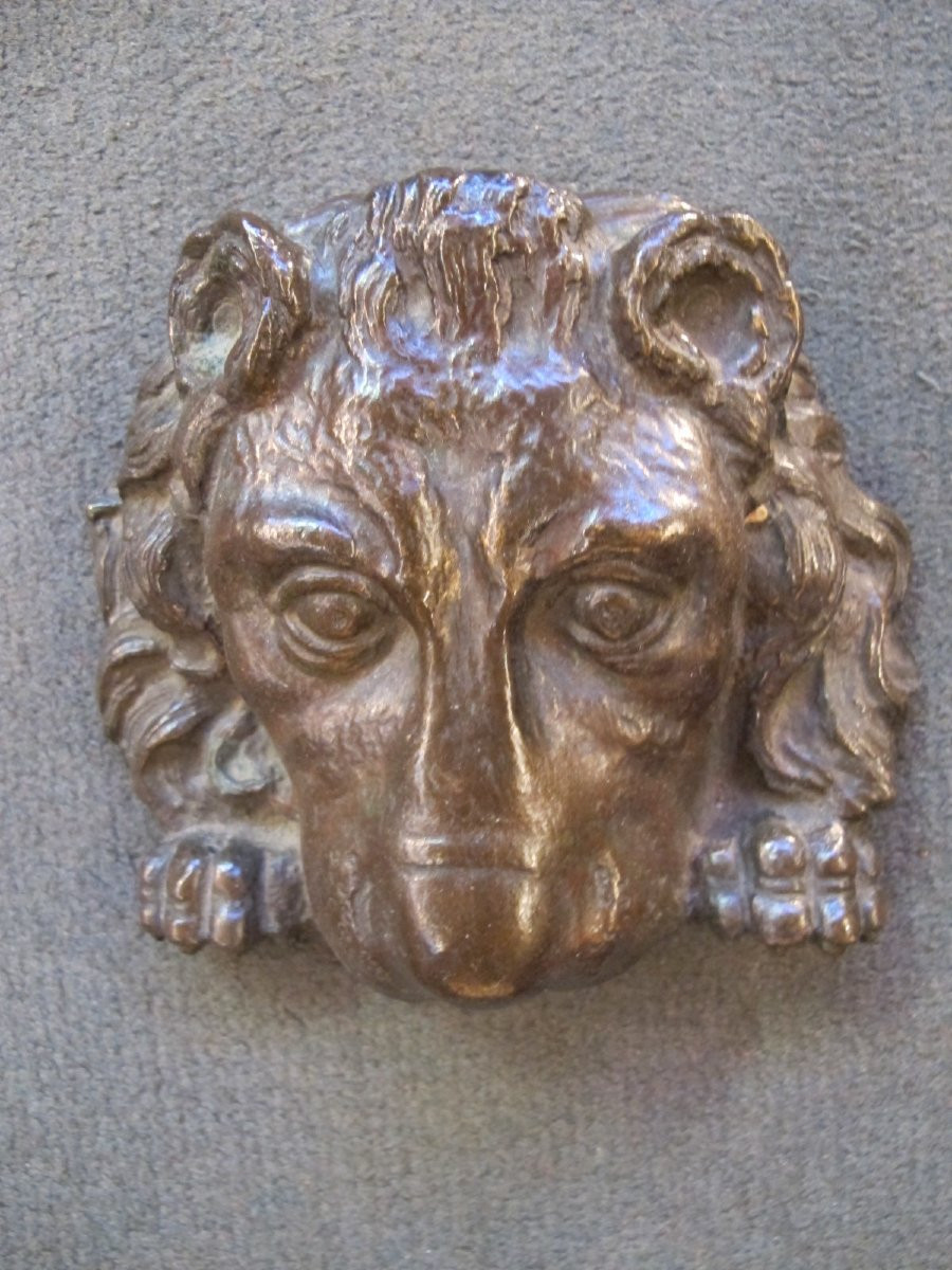 Mufle de lion en bronze  XIX -photo-4