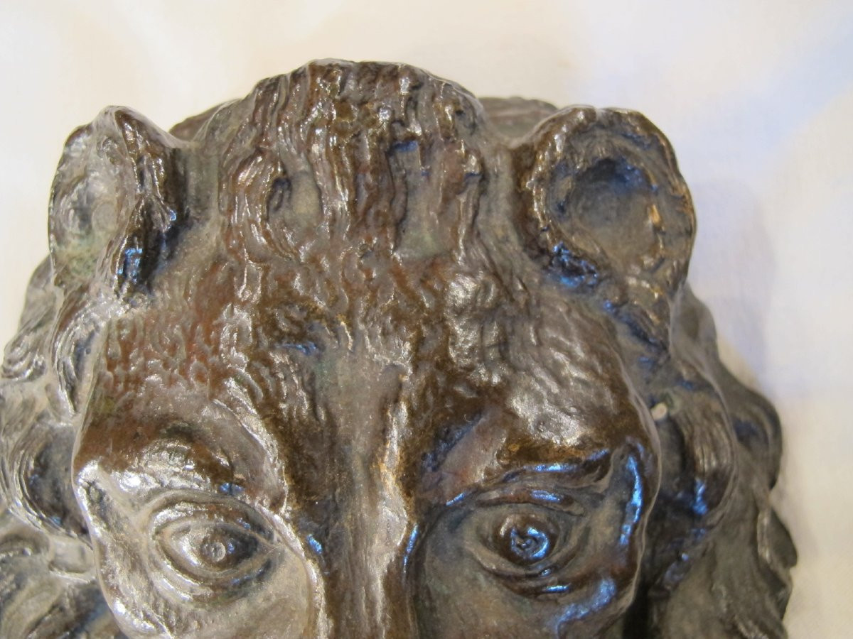 Mufle de lion en bronze  XIX -photo-2