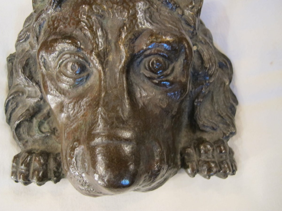 Mufle de lion en bronze  XIX -photo-3