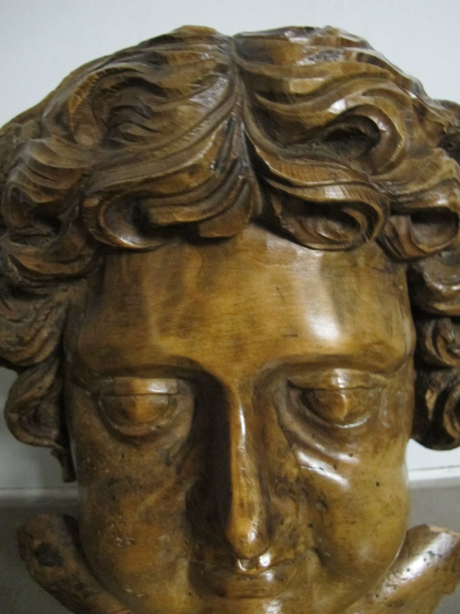 Tête d' enfant  en noyer  début  XVIII-photo-4