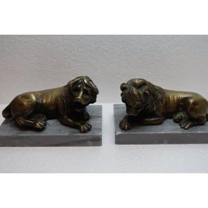 Paire de lions  en bronze XIX