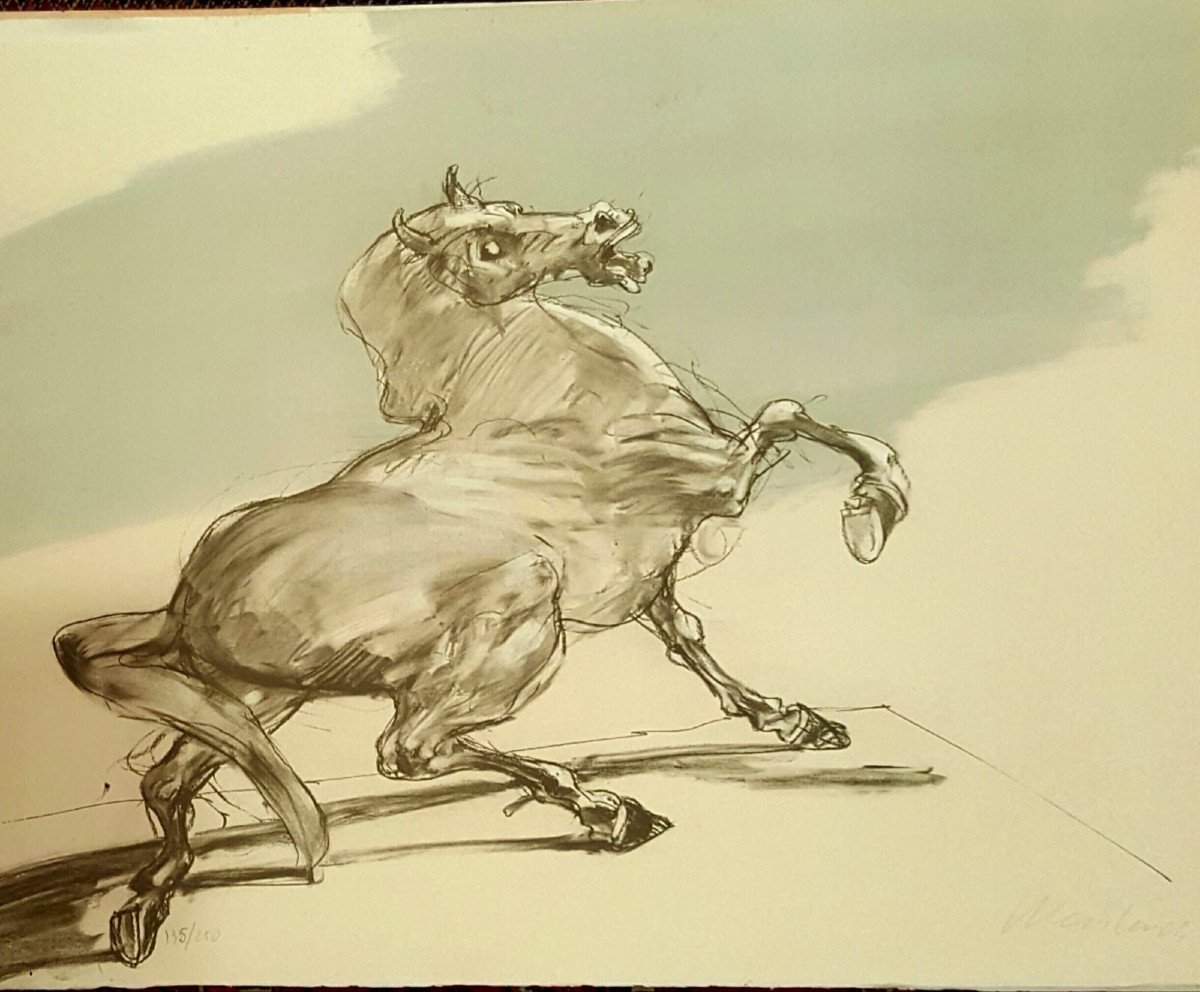 Cheval, Lithographie de Claude Weisbuch