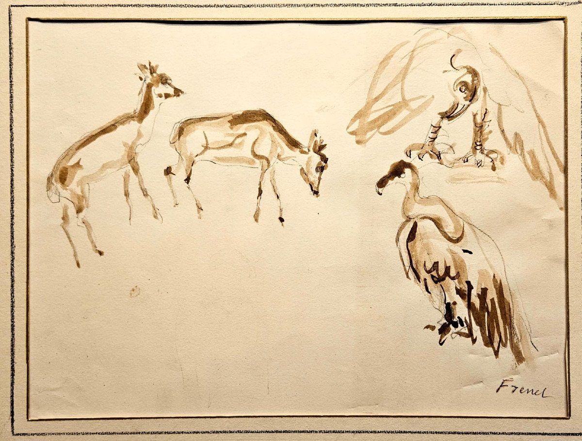Wash Study Sheet: At The Zoo By Alexandre Frenel