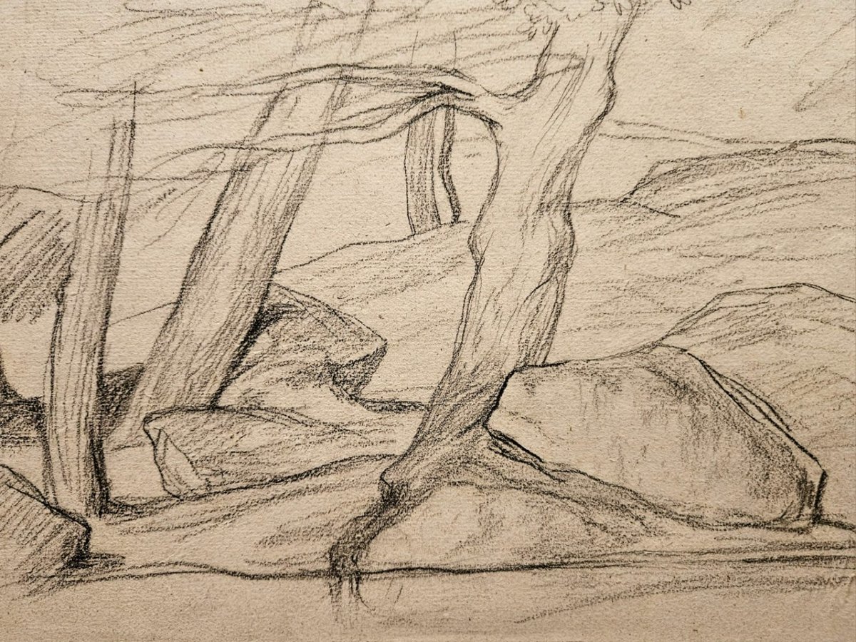3 Trees, Drawing By Louis Cabat, Charcoal-photo-4