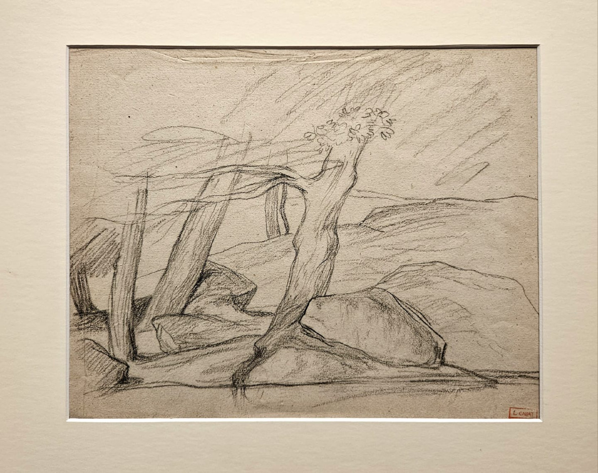 3 Trees, Drawing By Louis Cabat, Charcoal