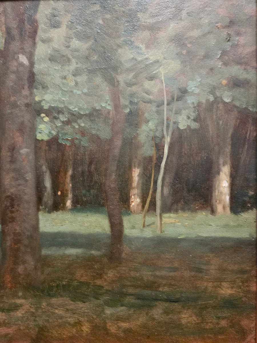 Clairière à Bercenay-en-Othe, huile sur carton de Louis Cabat, 1857-photo-3