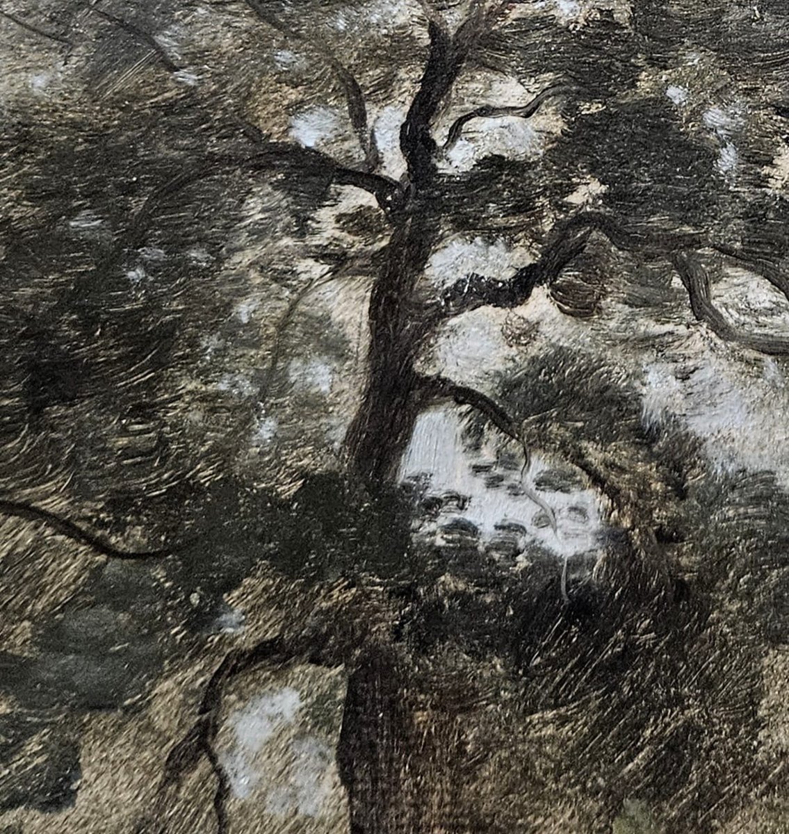 Le chêne, huile sur papier de Louis Cabat-photo-4