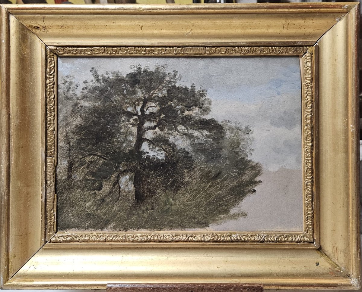 Le chêne, huile sur papier de Louis Cabat-photo-1