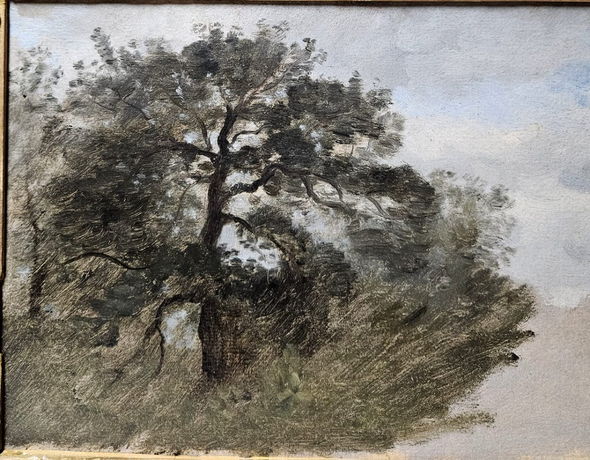 Le chêne, huile sur papier de Louis Cabat