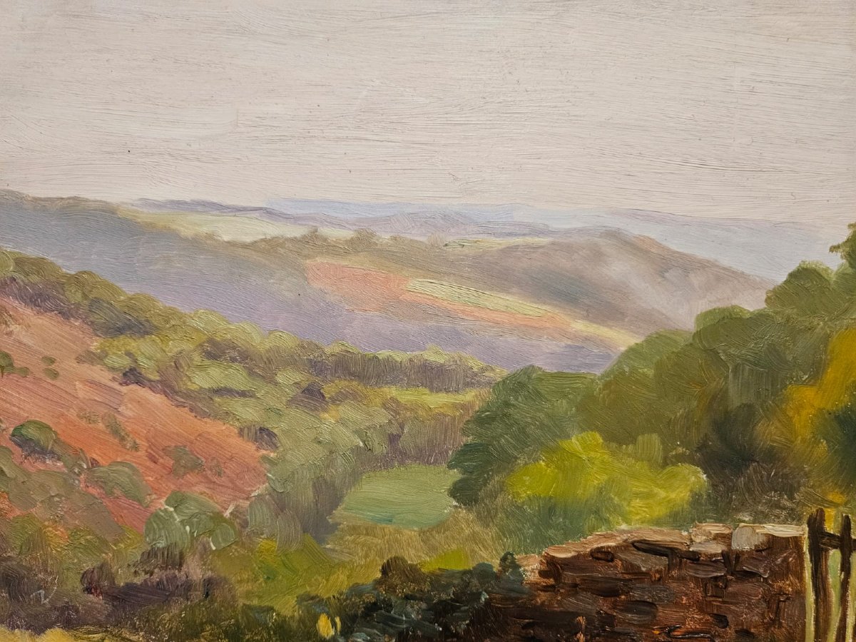 Vue des Monts d'Arrée, huile sur panneau d'Arthur Gué.-photo-2