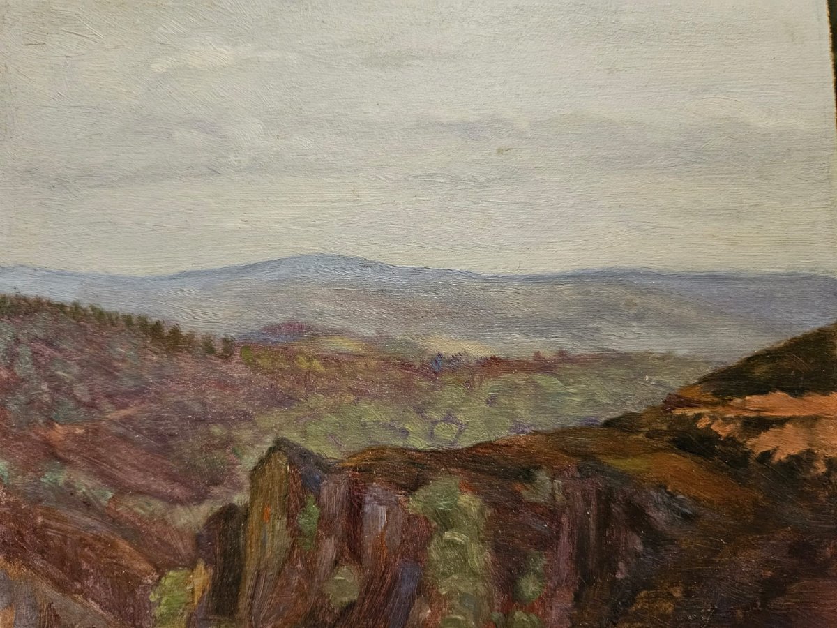 Les Monts d'Arrée, huile sur panneau d'Arthur Gué.-photo-2