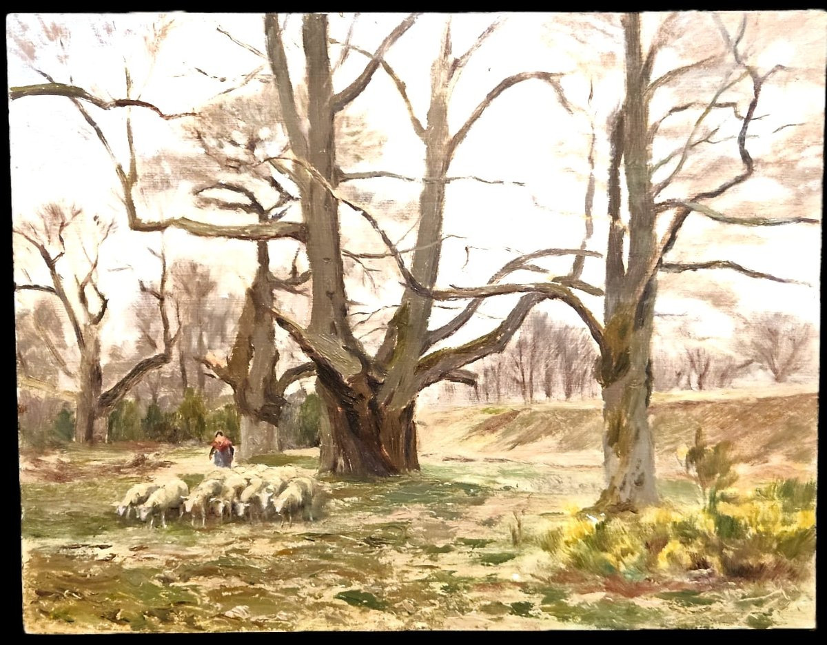"shepherdess And Her Flock" In The Couhé-vérac Region (vienne), Oil On Panel By Arthur Gué.