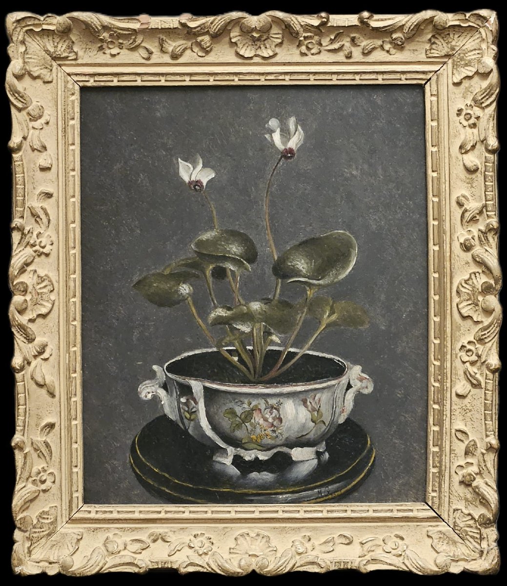 "cyclamen Of Cos (?)" In A Pot, Oil On Panel By Mathilde Grün, 1901
