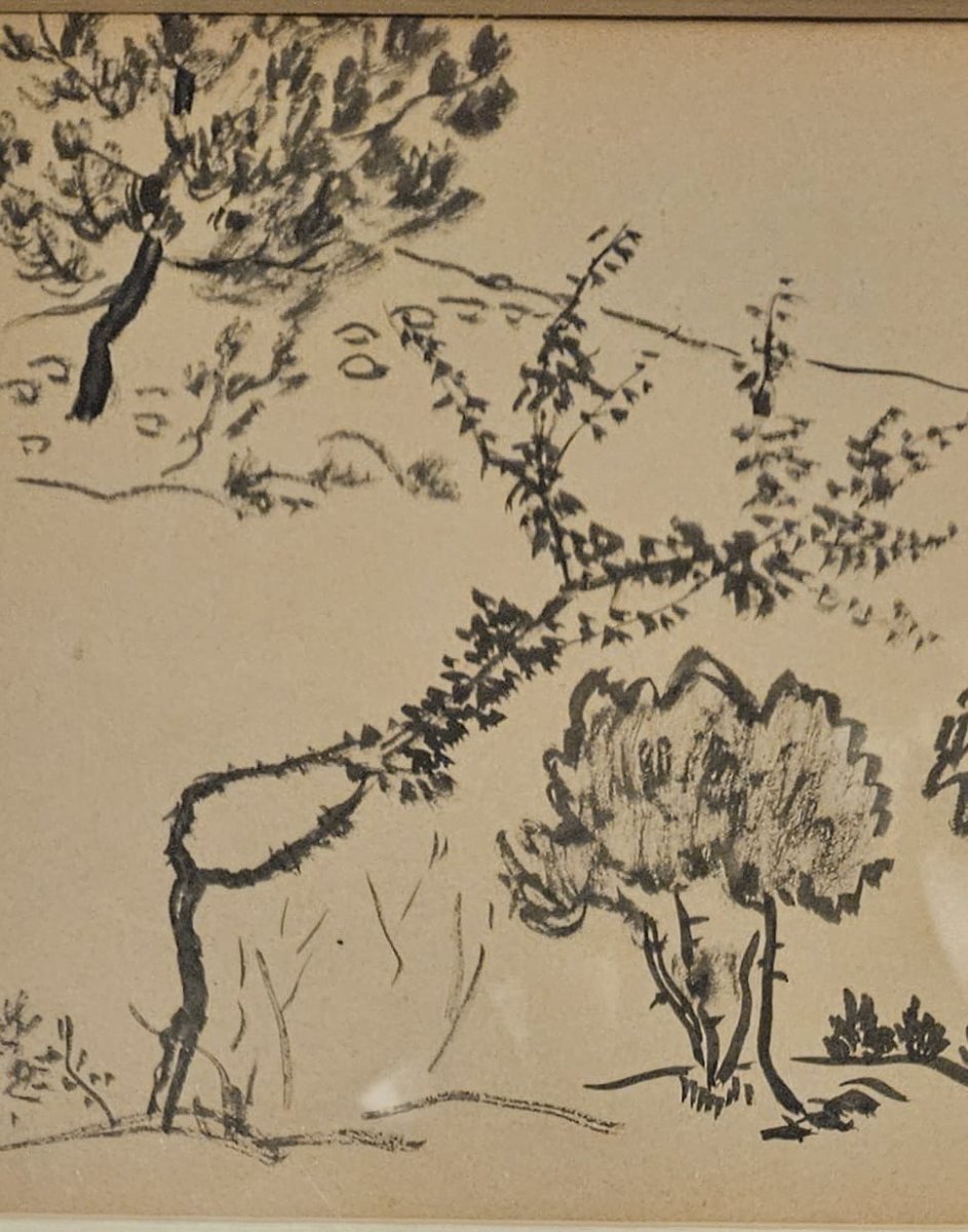 Etude d'arbres , encre au pinceau par Henry de Waroquier-photo-1