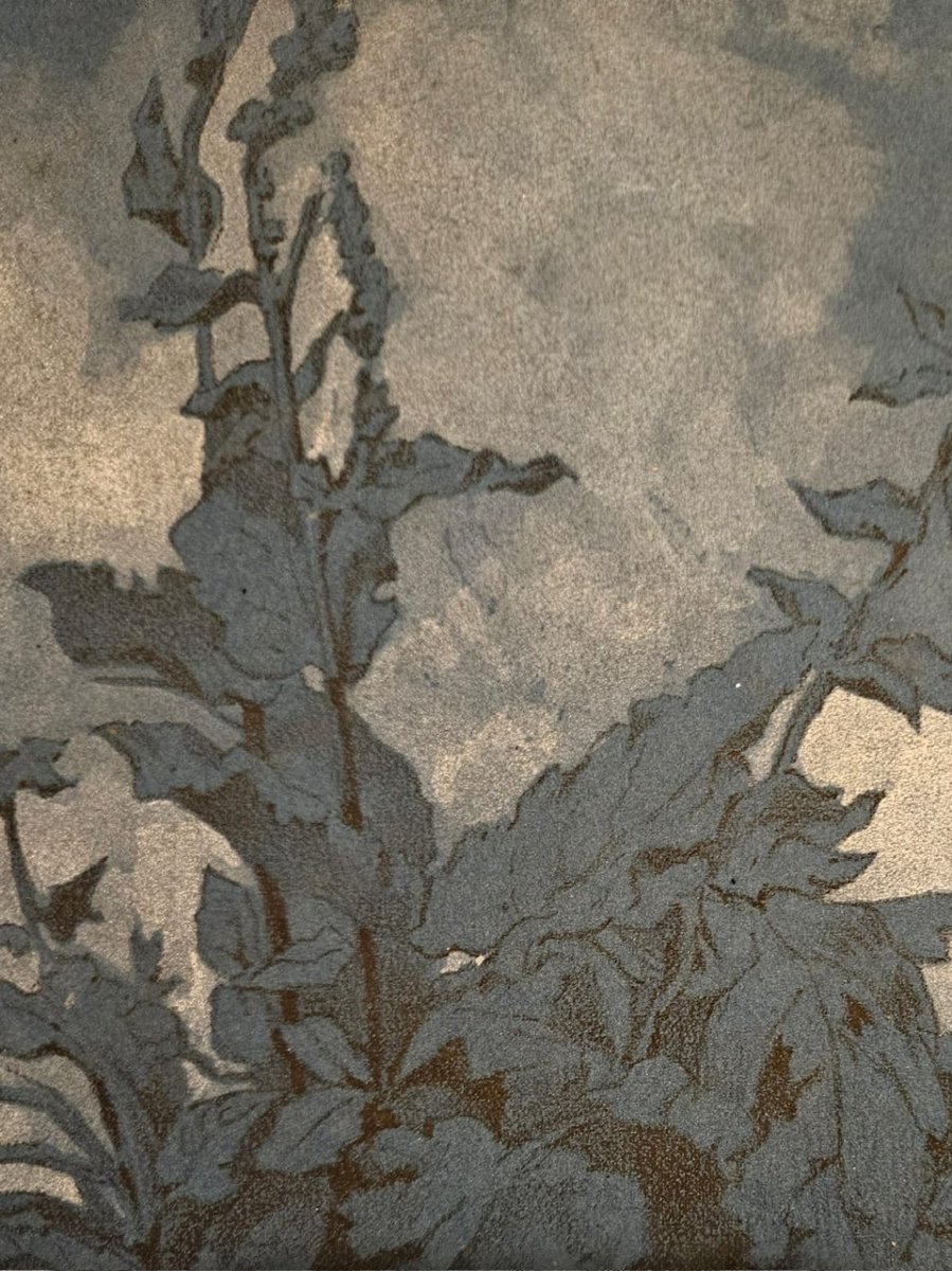 Molène, Drawing On Blue Paper Attributed To Pierre Girard (1806–1872)-photo-2