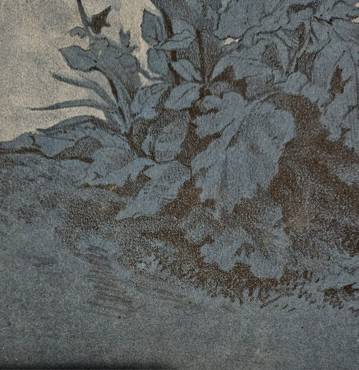 Molène, Drawing On Blue Paper Attributed To Pierre Girard (1806–1872)-photo-3