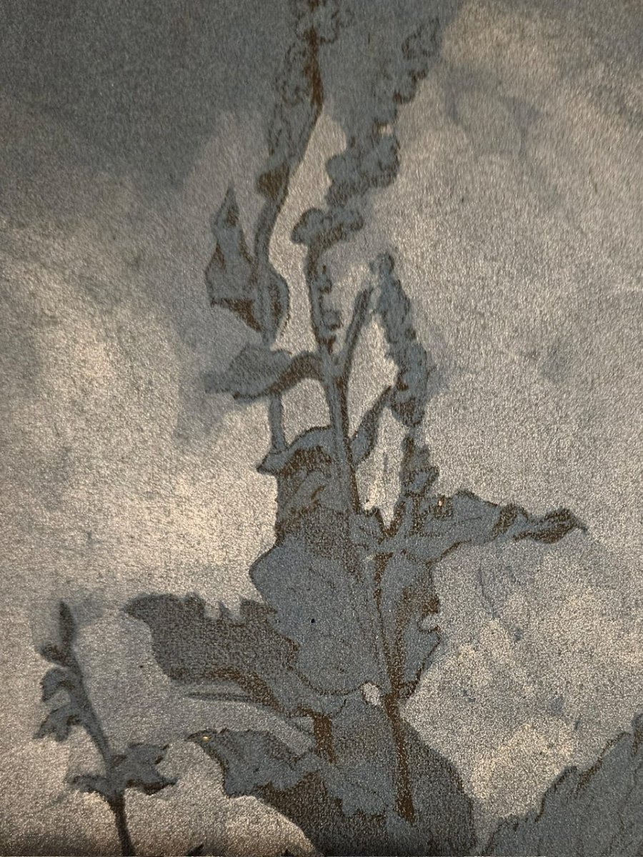 Molène, Drawing On Blue Paper Attributed To Pierre Girard (1806–1872)-photo-1