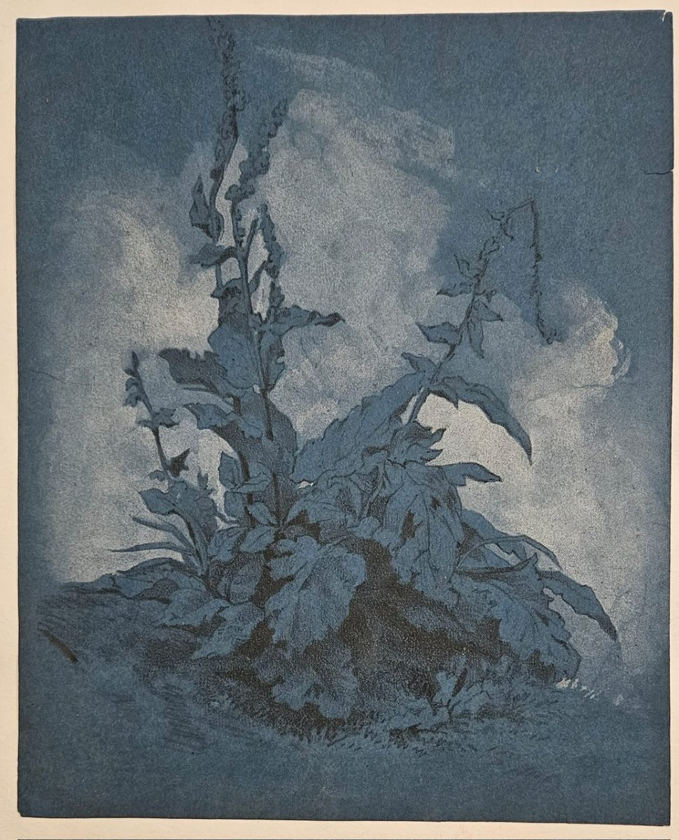 Molène, Drawing On Blue Paper Attributed To Pierre Girard (1806–1872)