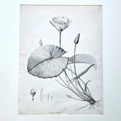 Premiere-Image-1725507