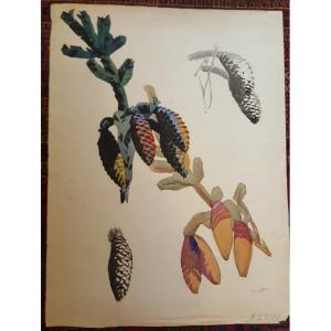 Suzanne Agron, Watercolor, Botanical Study