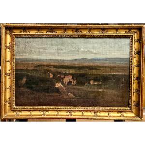 Plaines et monts aux alentours de Rome, huile sur toile marouflée de François Biennourry