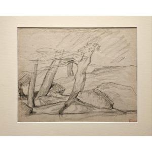 3 arbres, dessin de Louis Cabat, fusain