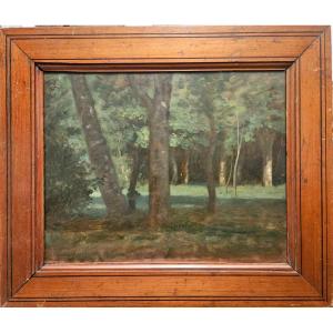 Clairière à Bercenay-en-Othe, huile sur carton de Louis Cabat, 1857