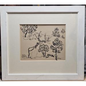 Etude d'arbres , encre au pinceau par Henry de Waroquier