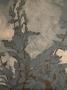 1841434-6ad662a8dafc0.jpg