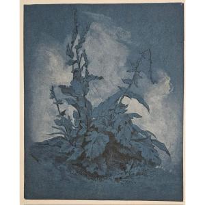 Molène, dessin sur papier bleu attribué à PIerre Girard (1806-1872)