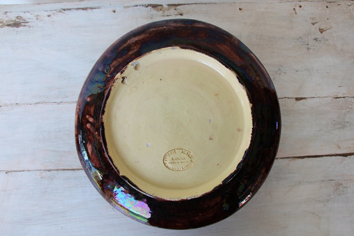 Antique Portuguese Palissy Ware Large Wall Plate, Caldas, Earthenware, Majolica-photo-7