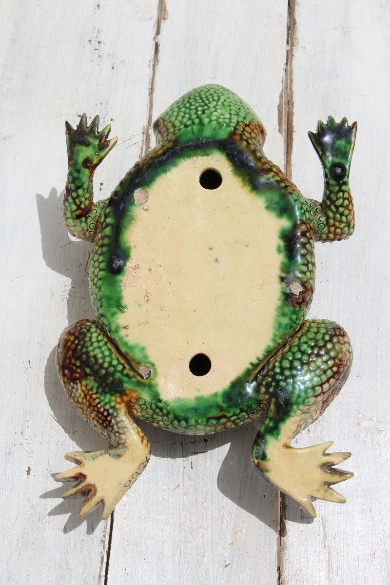 19th Century Life-size Majolica Palissy Toad Figure, Portuguese-photo-5