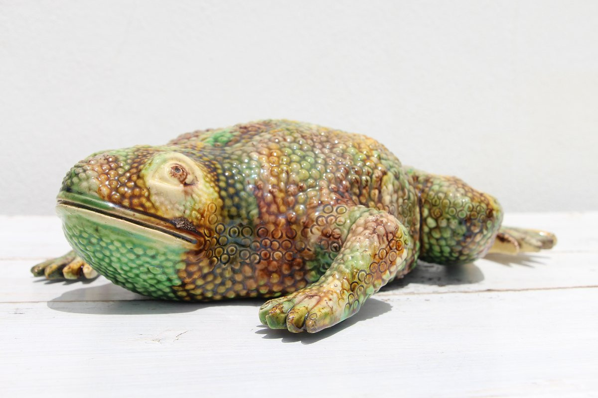 19th Century Life-size Majolica Palissy Toad Figure, Portuguese-photo-8