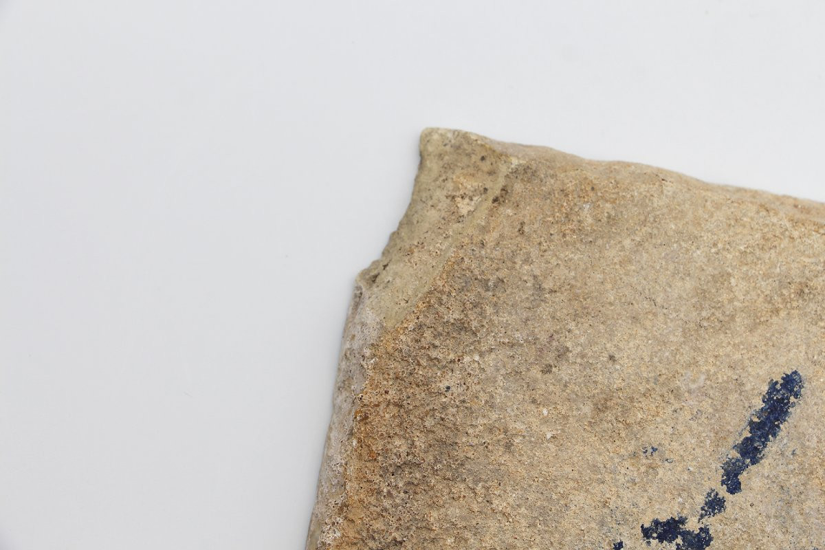 18th Century Blue And White Portuguese Tile Depicting A Horse Tale-photo-4