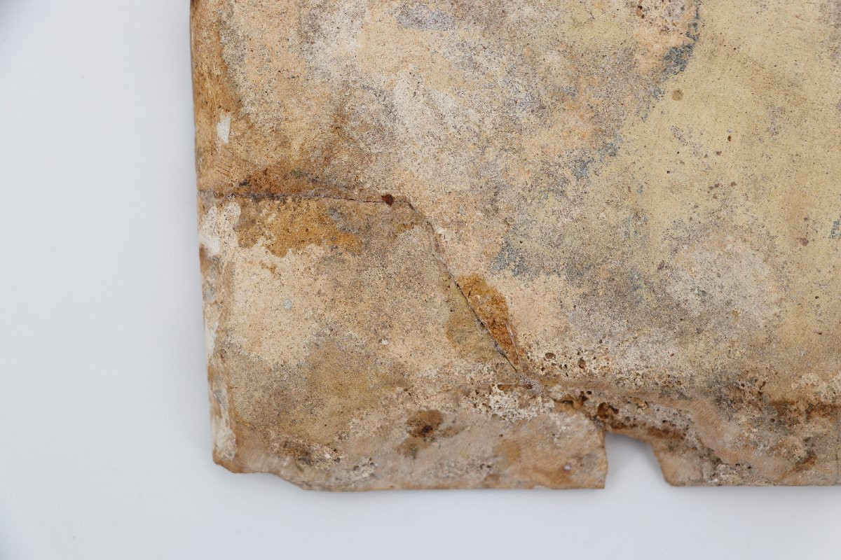 Carreau portugais bleu et blanc du XVIIIe siècle représentant une tête de cheval-photo-4