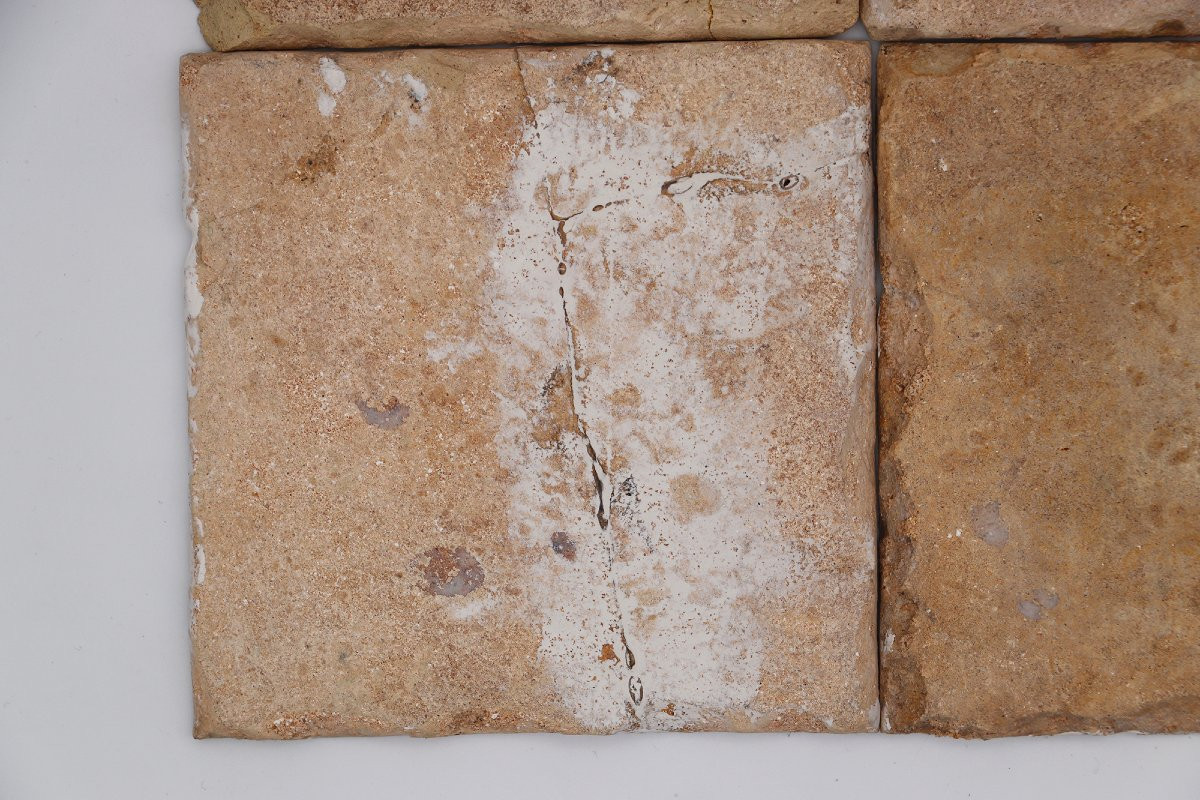 Ensemble de quatre carreaux portugais bleu et blanc du XVIIIe siècle représentant des motifs fl-photo-6