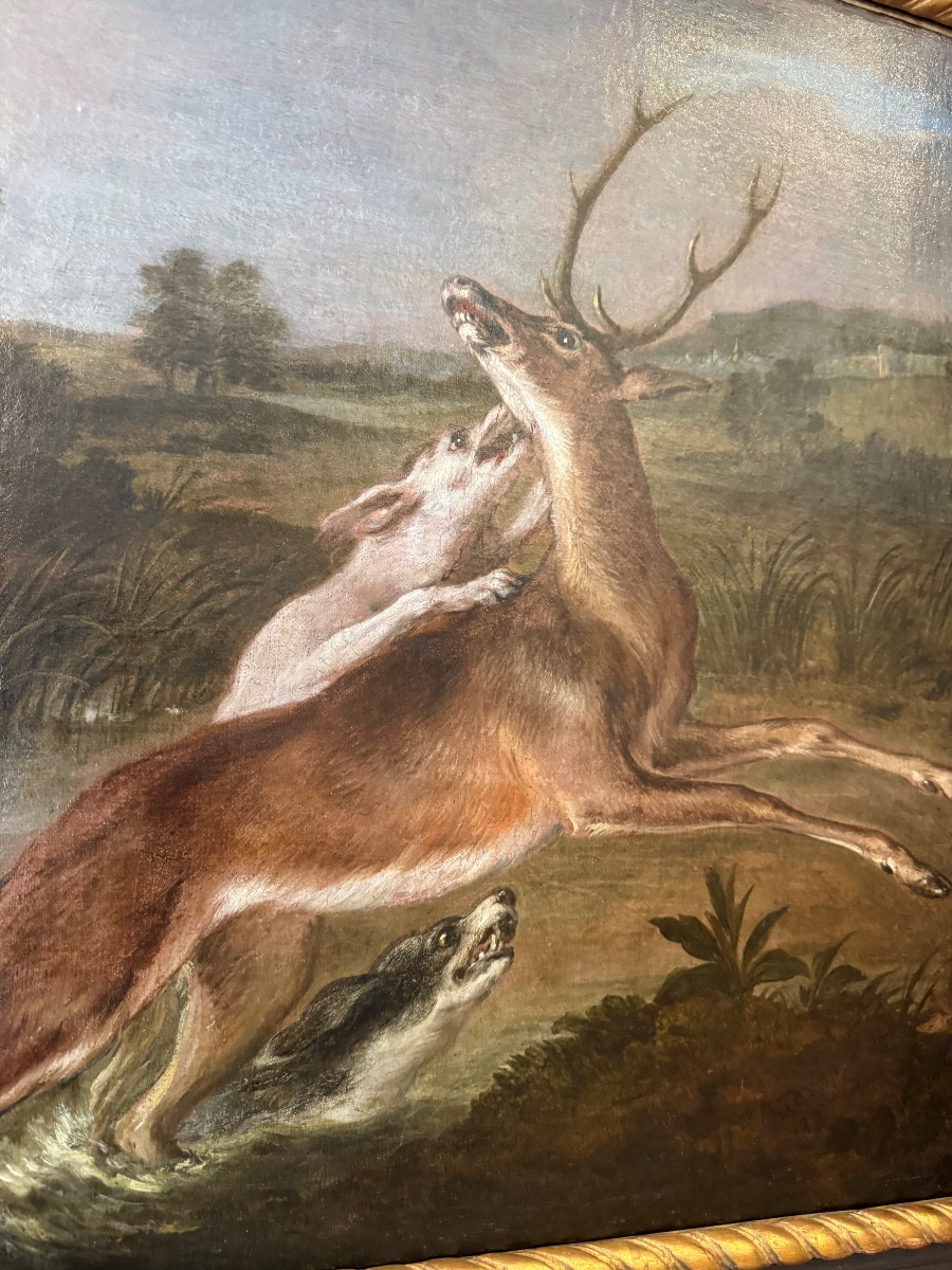 Huile sur toile ( cerf attaqué par des chiens ) époque 18 e-photo-4
