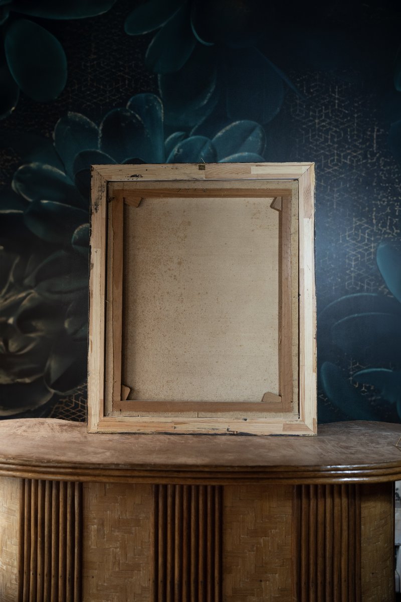 Paysages aux volailles et oiseaux-photo-3