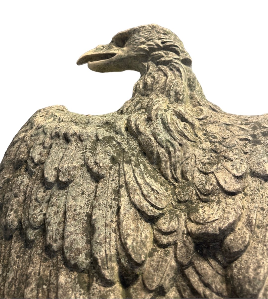 Sculpture « aigle »  En Terre Cuite Sur Colonne, Fin XIXème -photo-6