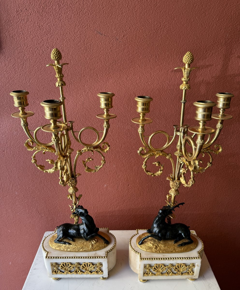 Paire de candélabres "aux cerfs" d'époque Louis XVI-photo-1