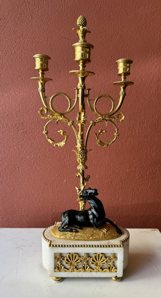 Paire de candélabres "aux cerfs" d'époque Louis XVI-photo-5