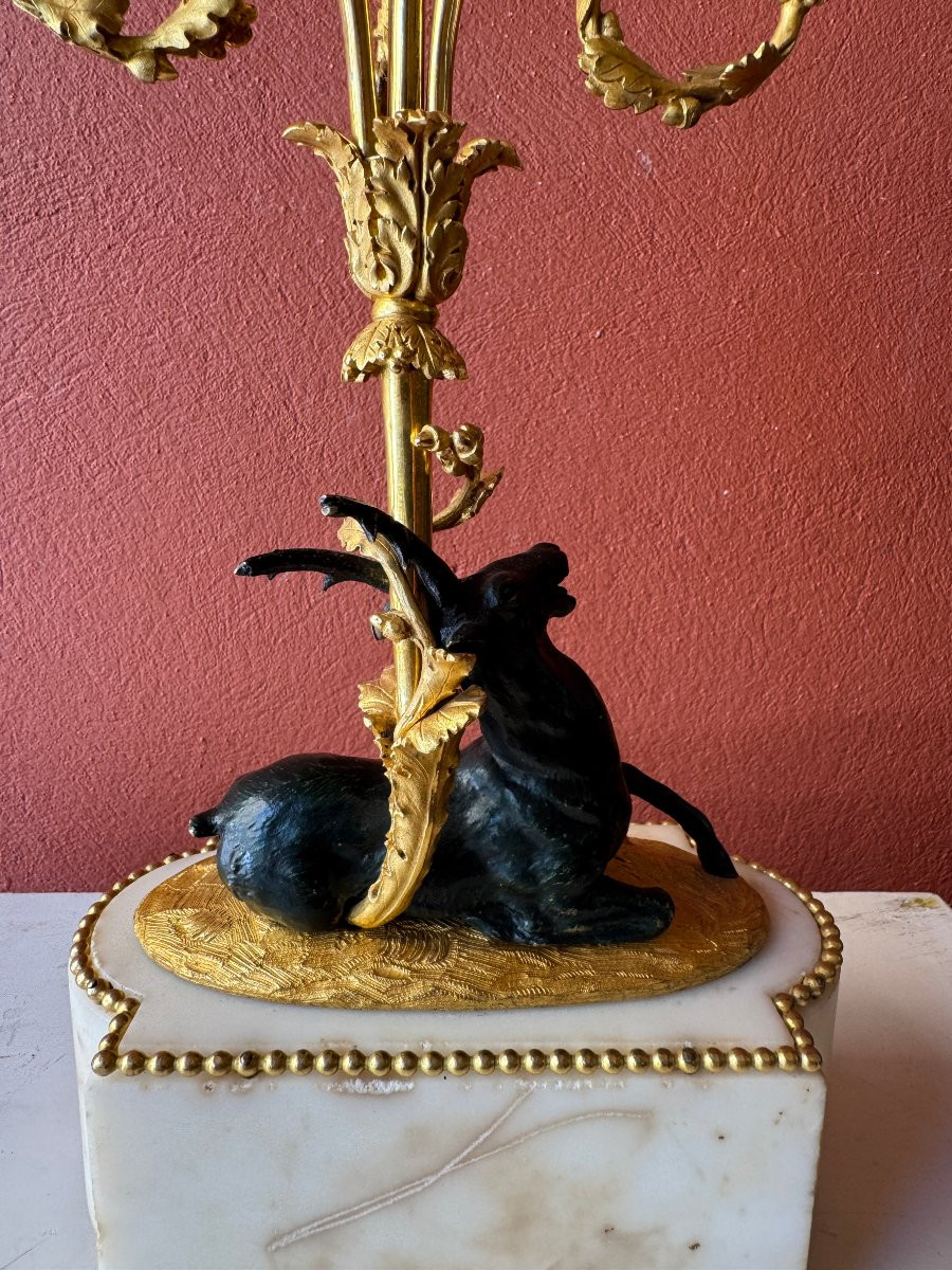 Paire de candélabres "aux cerfs" d'époque Louis XVI-photo-8