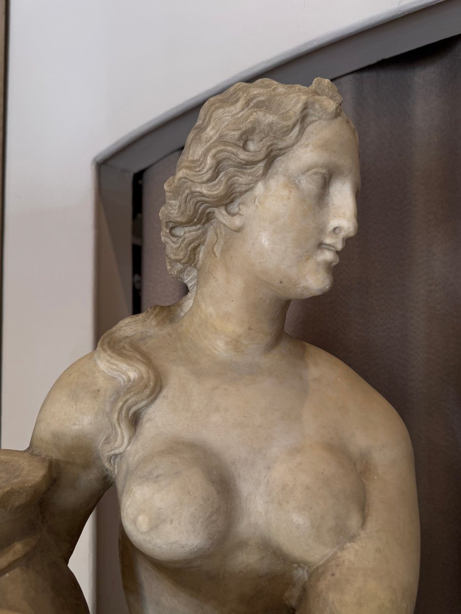 Large Venus In Carrara Marble, Italy, 18th Century-photo-3