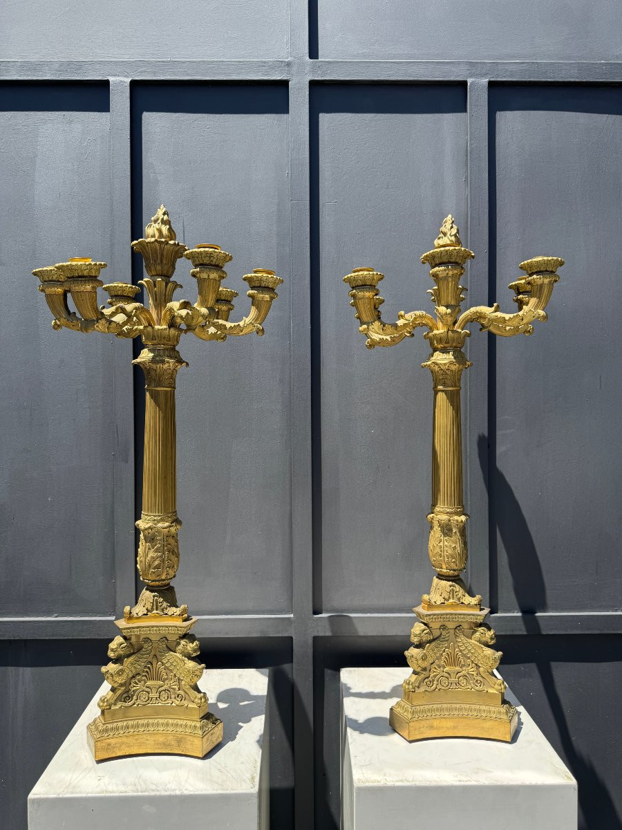 Paire de grands candélabres en bronze doré à six lumières - Epoque début XIX° siècle -photo-2