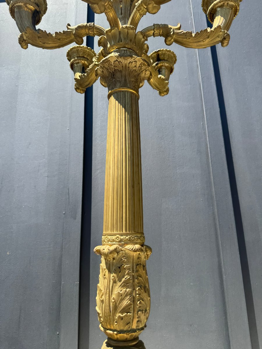 Paire de grands candélabres en bronze doré à six lumières - Epoque début XIX° siècle -photo-4