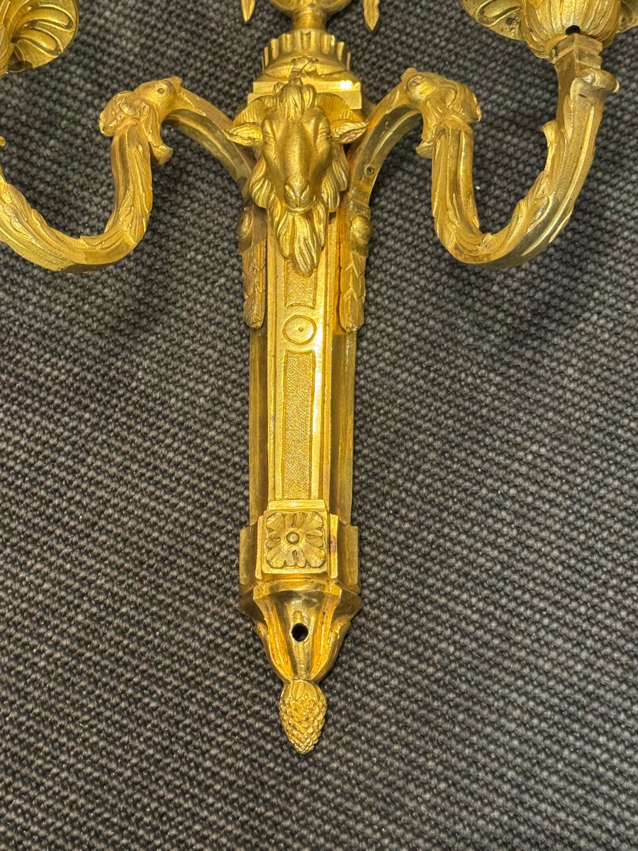 Pair Of Louis XVI Period Two-light Sconces In Chased And Gilt Bronze-photo-6