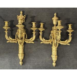 Large Pair Of Louis XVI Period Sconces In Chased And Gilt Bronze, 18th C.