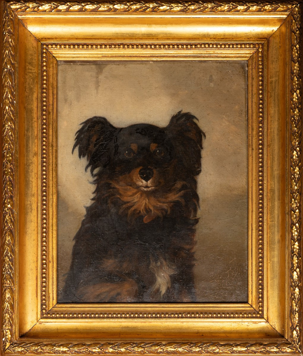 Dog Portrait – English Painter, Second Half Of The 19th Century