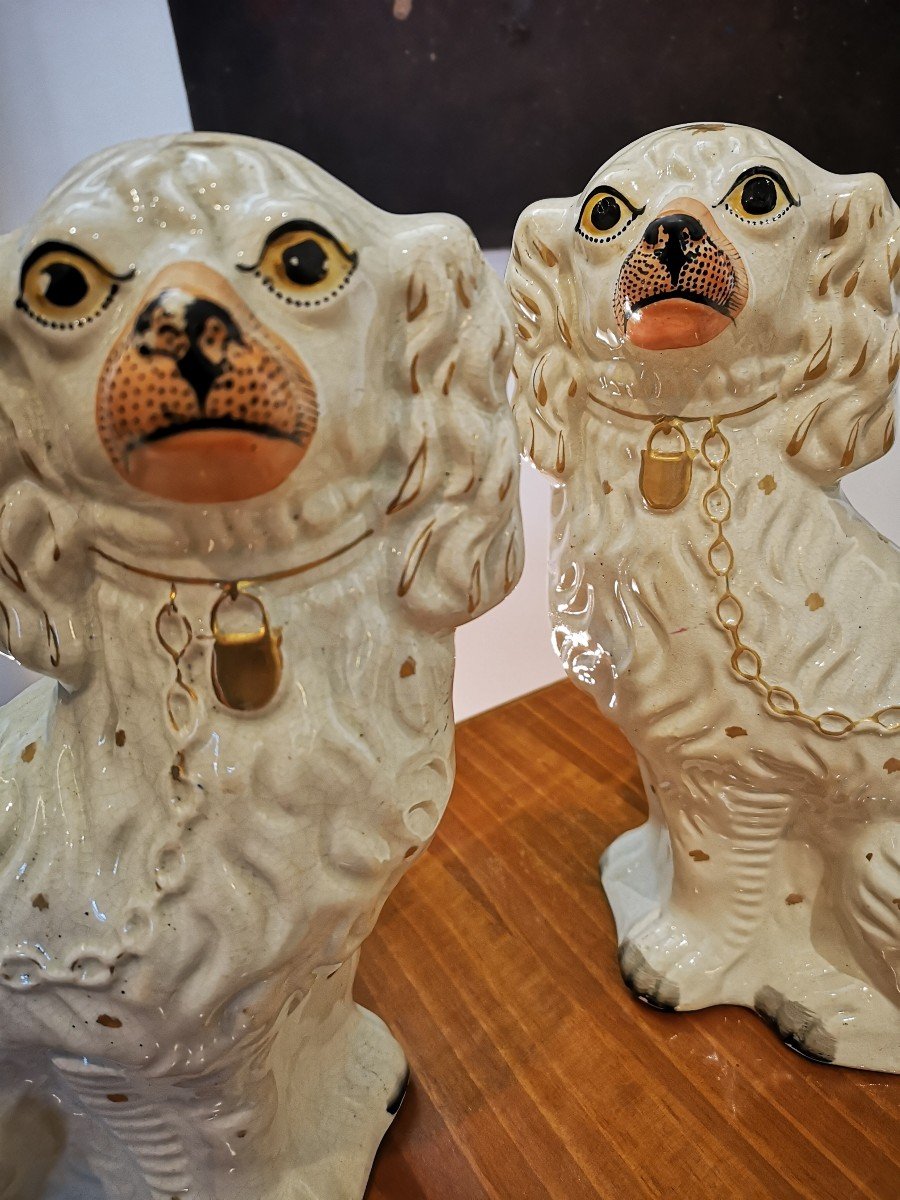 Pair Of Dogs